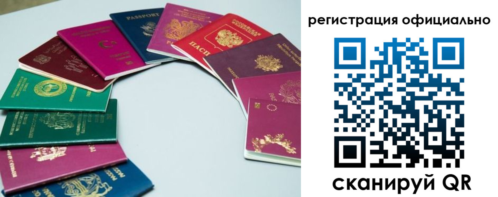 регистрация в Александровске-Сахалинском